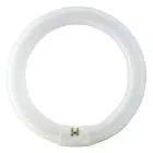 Osram T9 Lumilux Circline 32W - 840 Cool White | 30cm